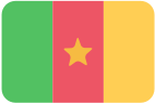 .net.cm (Cameroon)