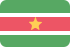 .sr (Suriname)