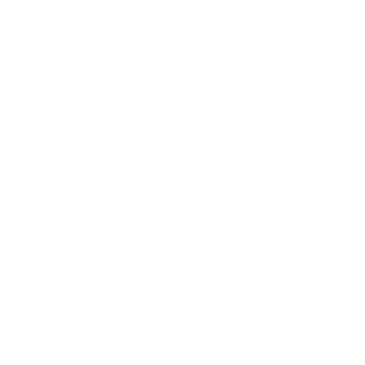 WordPress Hosting